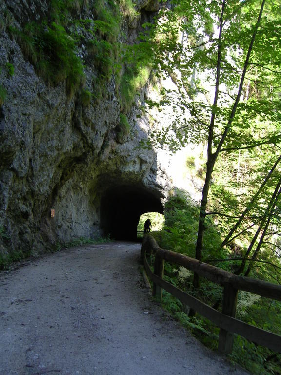 Gasthof Hensle Sankt Gallen Dış mekan fotoğraf